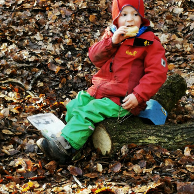 Snack im Wald Snack im Wald