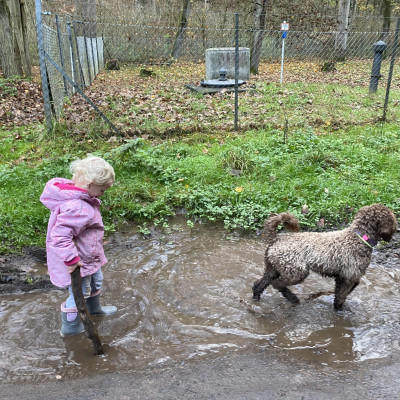 Ab in die Matsche Ab in die Matsche