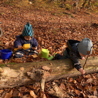 Den Herbst erkunden Den Herbst erkunden