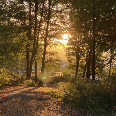 über die Natur staunen über die Natur staunen