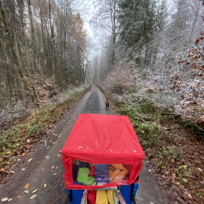 Der erste Schnee Der erste Schnee